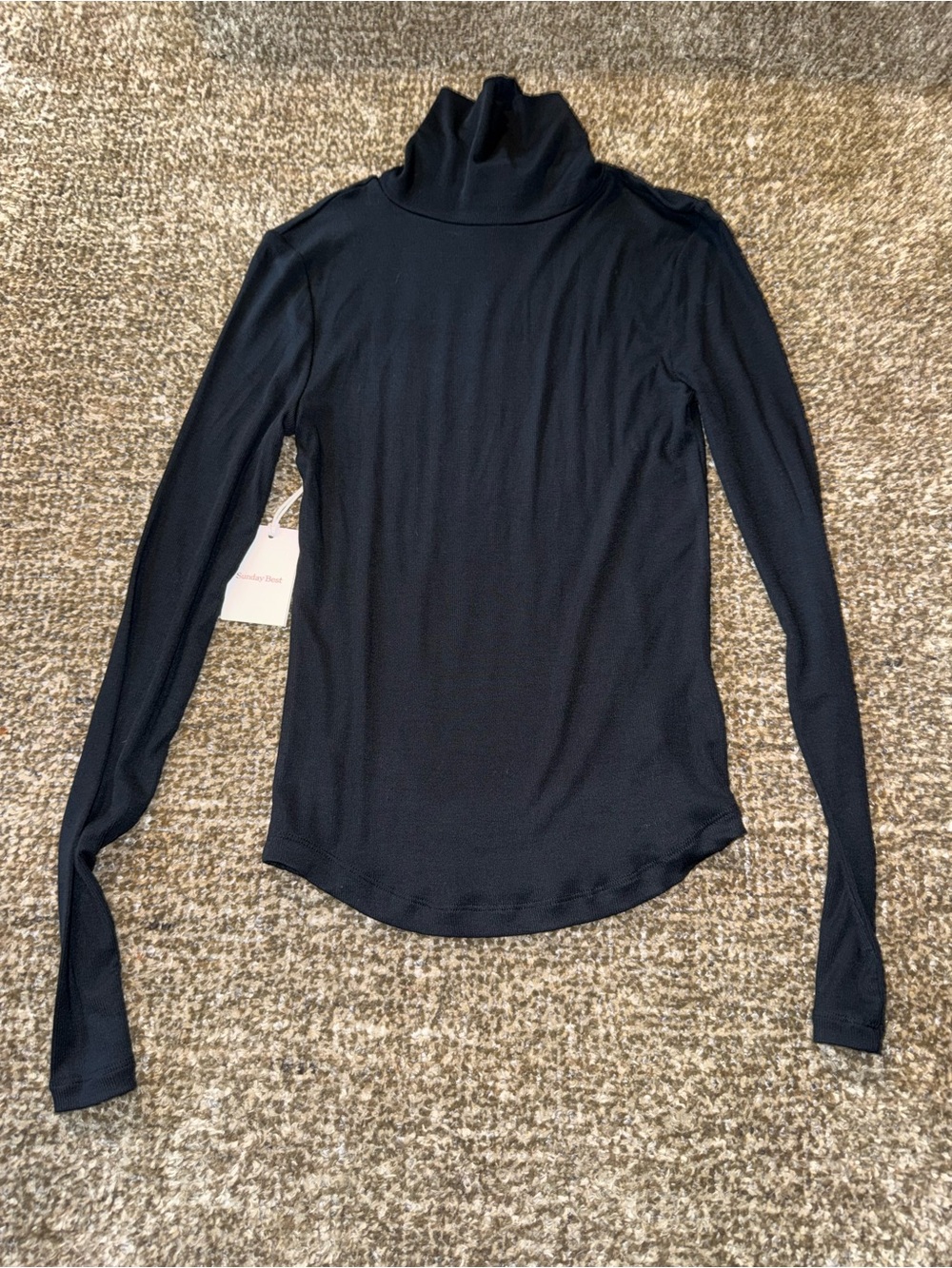 Aritzia Black Turtleneck NWT